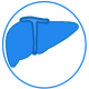 liver_white liver_white
