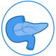 pancreas_white pancreas_white